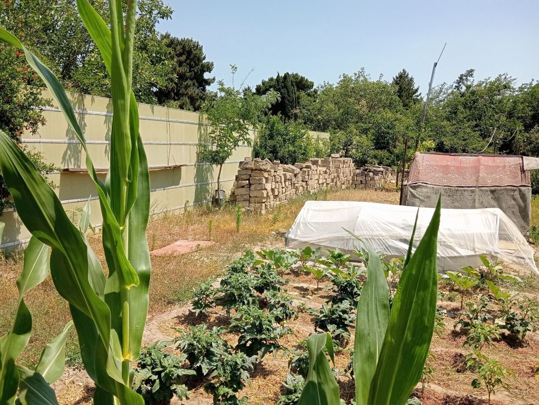 5.5 sot torpaq sahəsi, Novxanı qəs — Torpaq, Bakı (7)