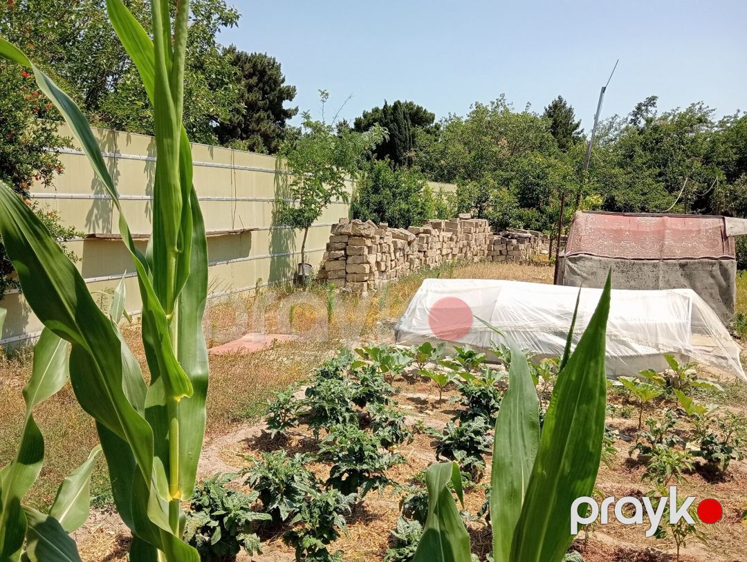 5.5 sot torpaq sahəsi, Novxanı qəs — Torpaq, Bakı (7)
