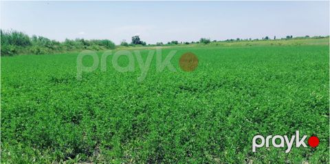 200 sot torpaq sahəsi, Göyçay r