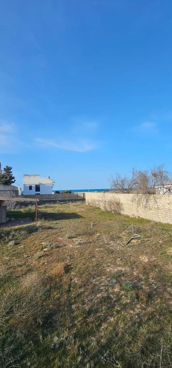 Satılır torpaq 31 sot — Torpaq, Bakı (6)