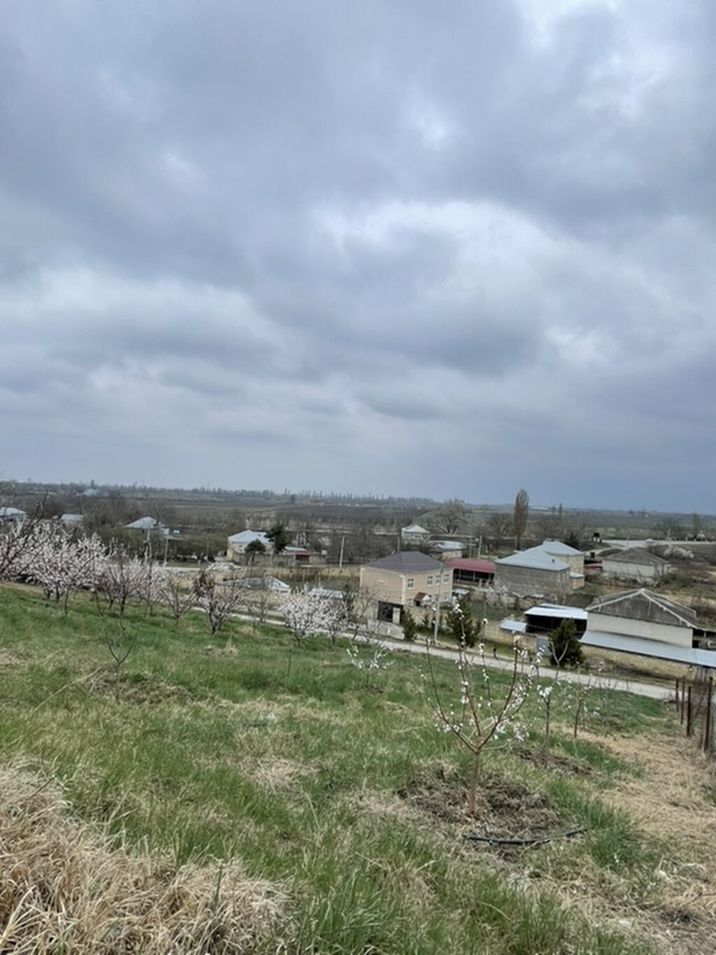 Kənd təsərrüfatı, Makler, Kupça (Çıxarış) — Torpaq, Quba (3)