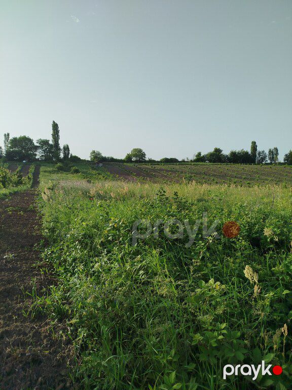 39 sot torpaq sahəsi, Quba r — Torpaq, Quba (3)