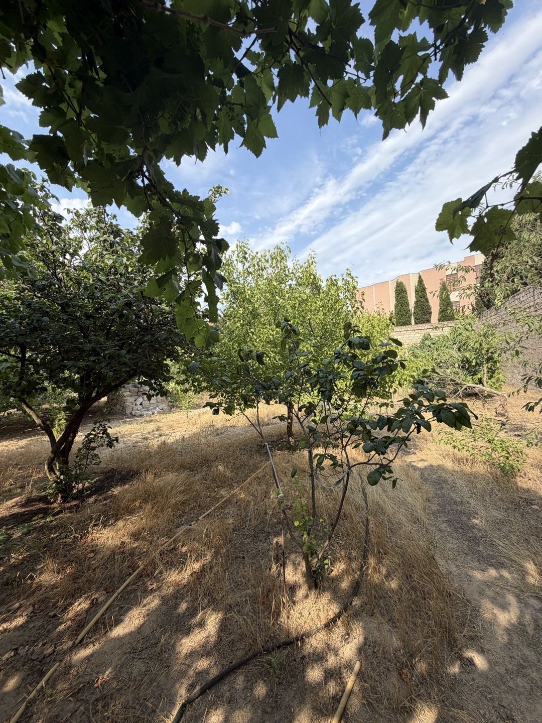 Satılır torpaq 17.5 sot — Torpaq, Bakı (4)