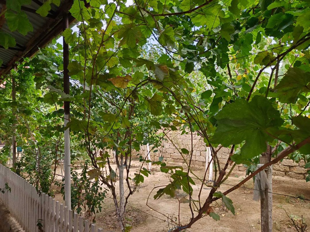 Satılır 3 otaqlı həyət evi/bağ evi 110 m² — Ev, villa, Bakı (2)
