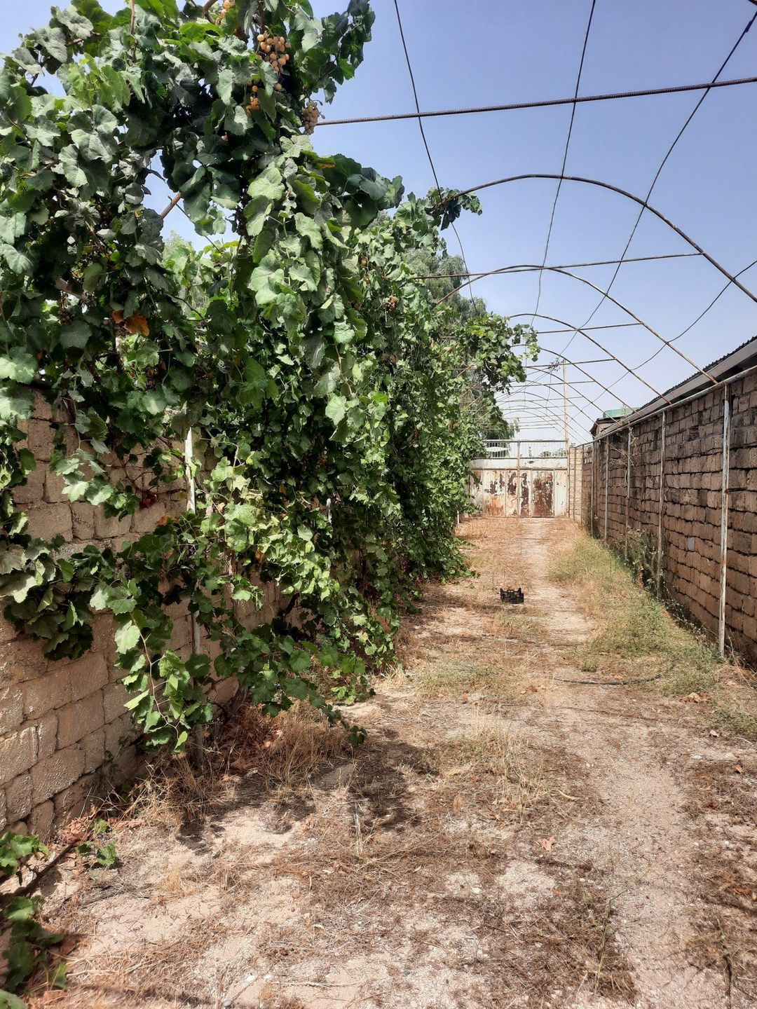 Satılır 3 otaqlı həyət evi/bağ evi 80 m² — Ev, villa, Bakı (6)