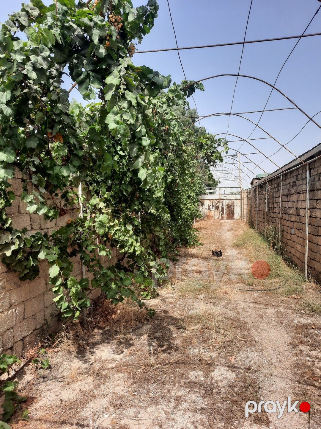 Bağ evi, Türkan qəs — Ev, villa, Bakı (5)