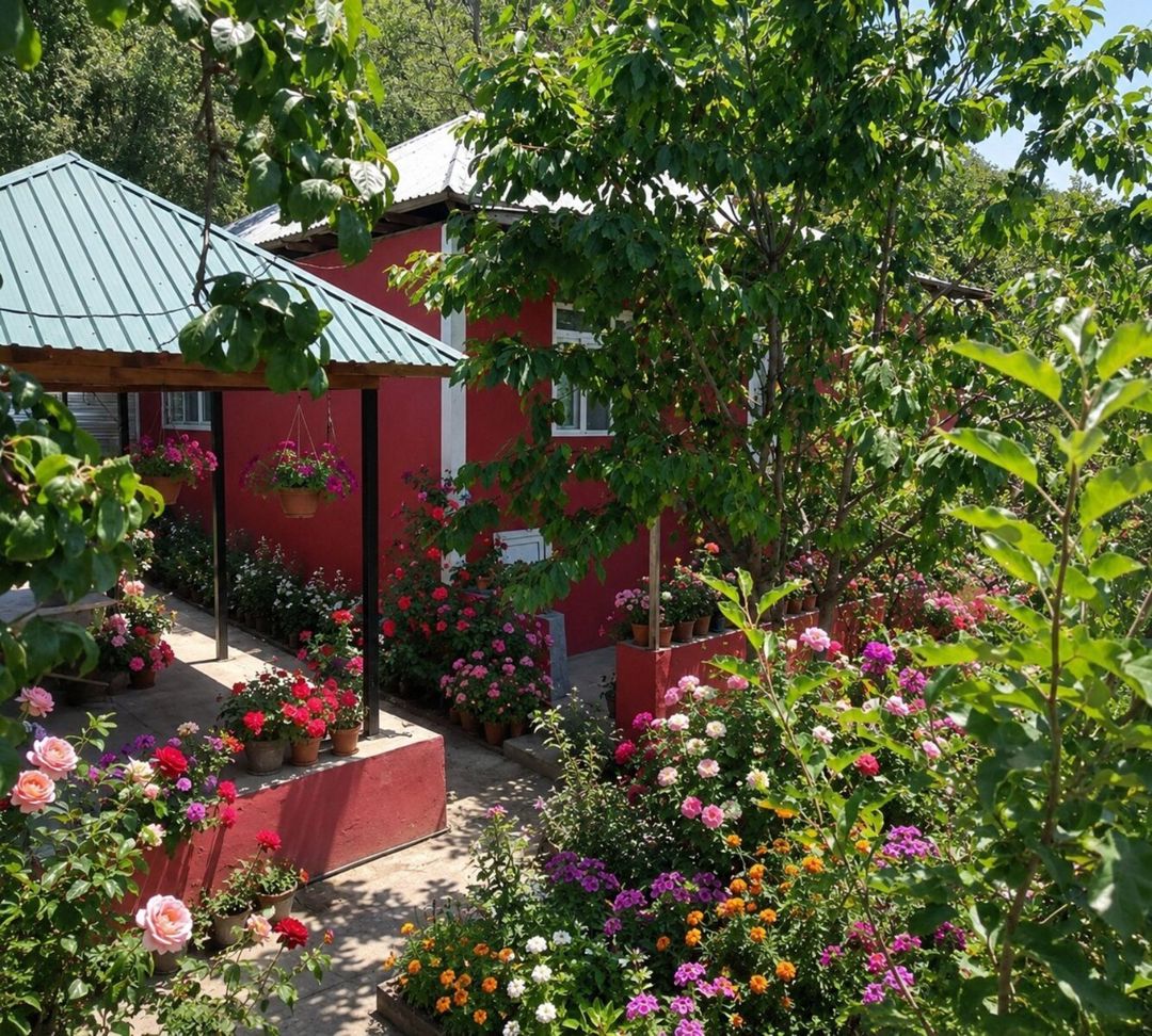 Bağ evi kirayə verilir, Qəbələ r — Ev, villa, Qəbələ (2)