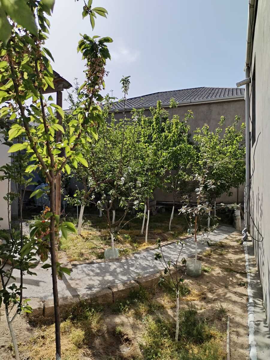 Satılır 5 otaqlı həyət evi/bağ evi 130 m² — Ev, villa, Bakı (2)