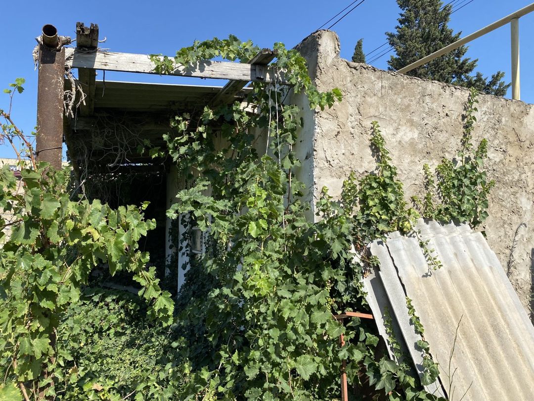 Satılır torpaq 6 sot — Torpaq, Bakı (3)