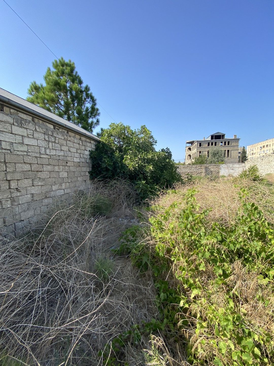 Satılır torpaq 6 sot — Torpaq, Bakı (5)