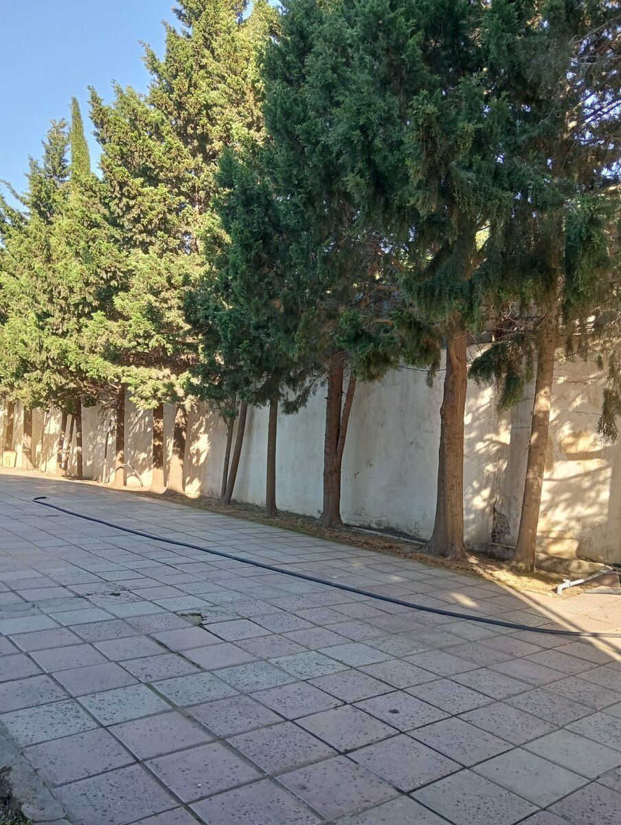 34 sot torpaq sahəsi, Novxanı qəs — Torpaq, Bakı (4)