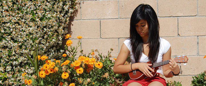 Ukulele — Musiqiə alətləri, Bakı (9)