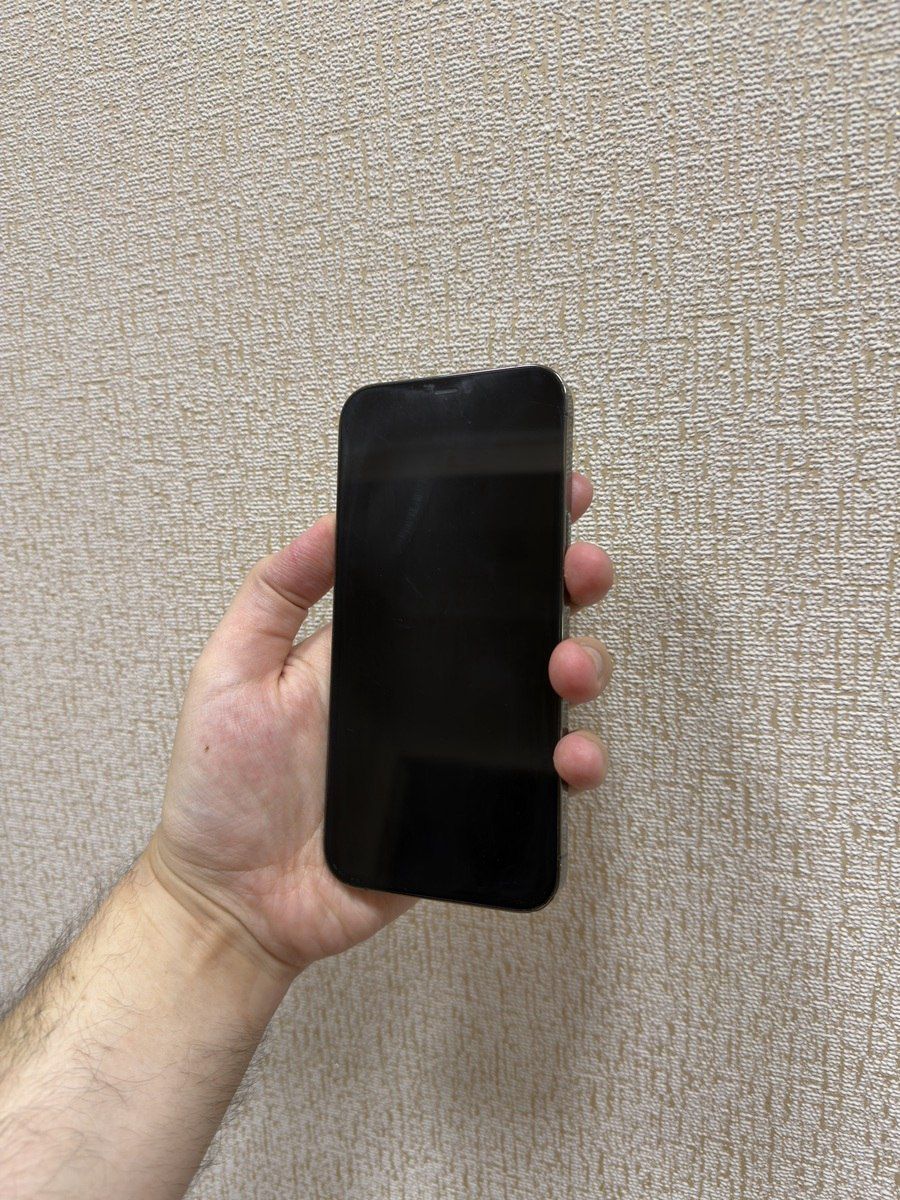 Apple iPhone 12 Pro Max Graphite 256GB/6GB — Smartfonlar, Bakı (2)