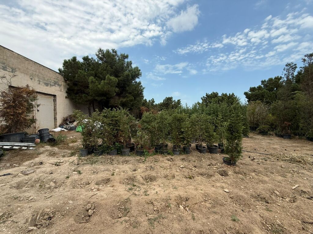 15.3 sot torpaq sahəsi, Buzovna qəs — Torpaq, Bakı (7)