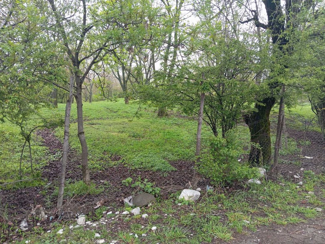 10 sot torpaq sahəsi, Xankəndi k — Torpaq, İsmayıllı (6)