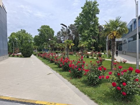 Satılır torpaq 2.1 sot — Bakı