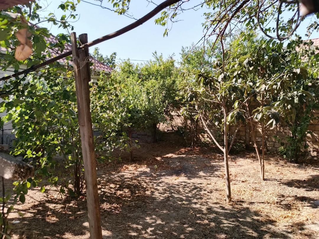 Satılır torpaq 5 sot — Torpaq, Bakı (5)