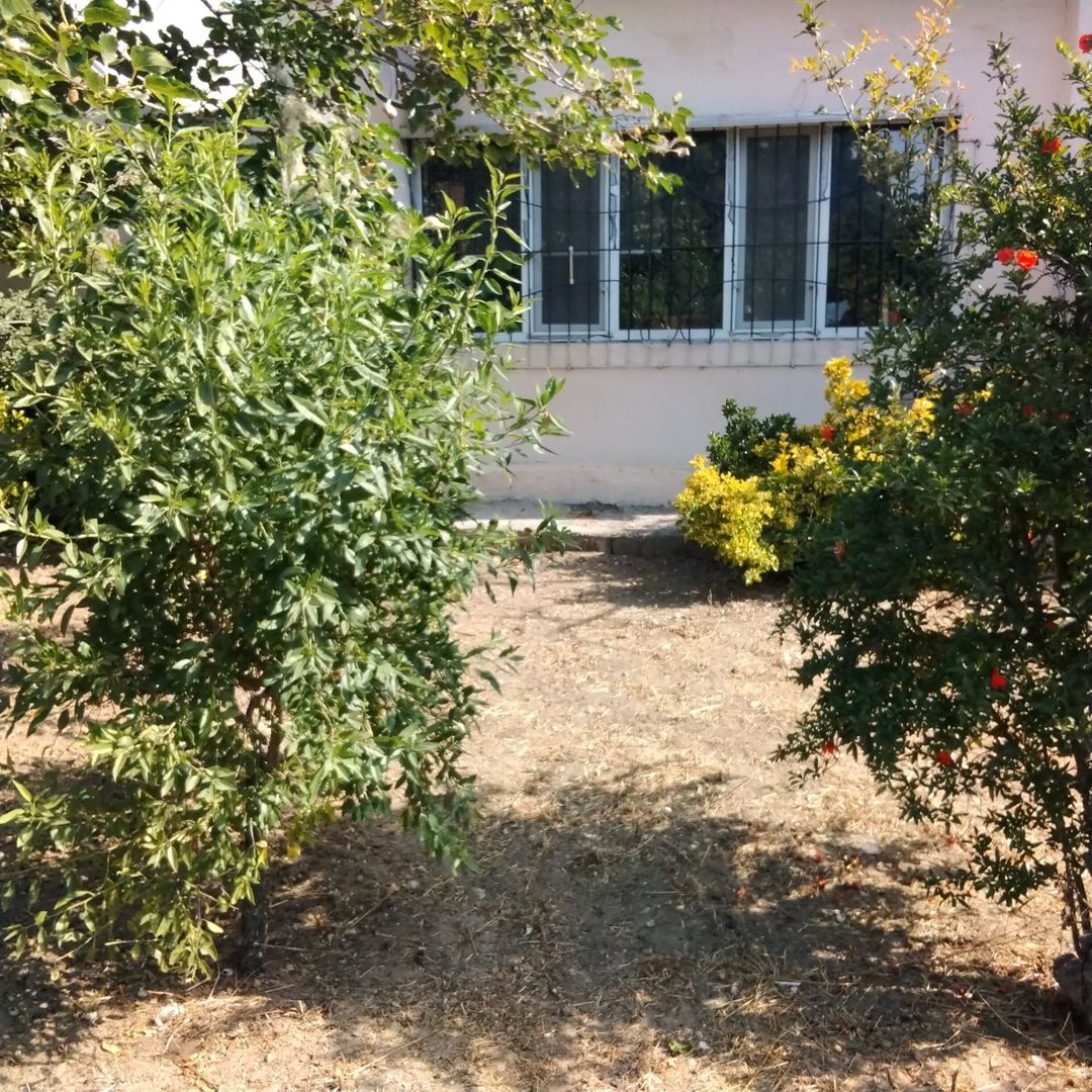 Satılır 3 otaqlı həyət evi/bağ evi 65 m² — Ev, villa, Bakı (7)