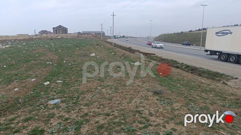 44.5 sot torpaq sahəsi, Saray qəs