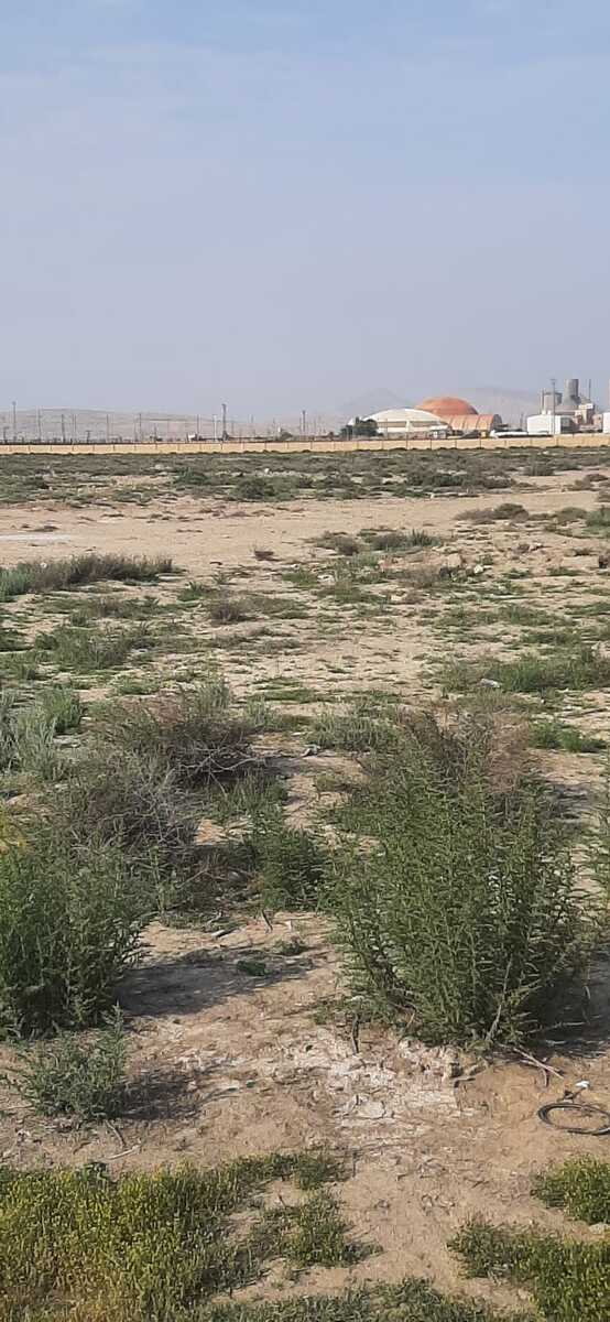 Satılır torpaq 70 sot — Torpaq, Bakı (8)
