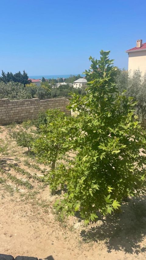 16 sot torpaq sahəsi, Novxanı qəs — Bakı