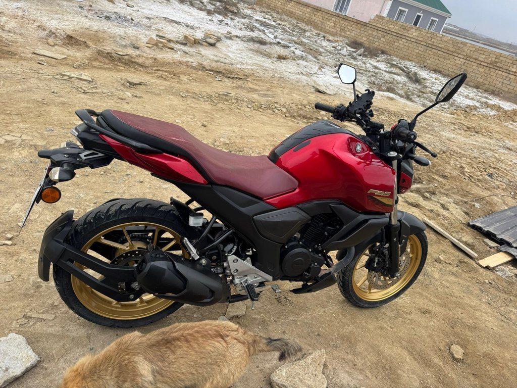 Yamaha FZ-S FI Deluxe, 150 sm3, 2023 il, 23 000 km — Motosikletlər, Bakı (3)