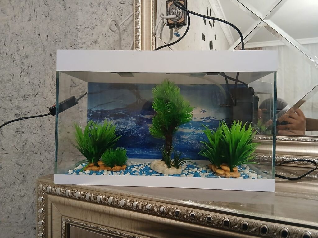 Dördbucaq akvarium, Boş, 10 l, Ödənişli çatdırılma — Akvariumlar və balıqlar, Qax (3)
