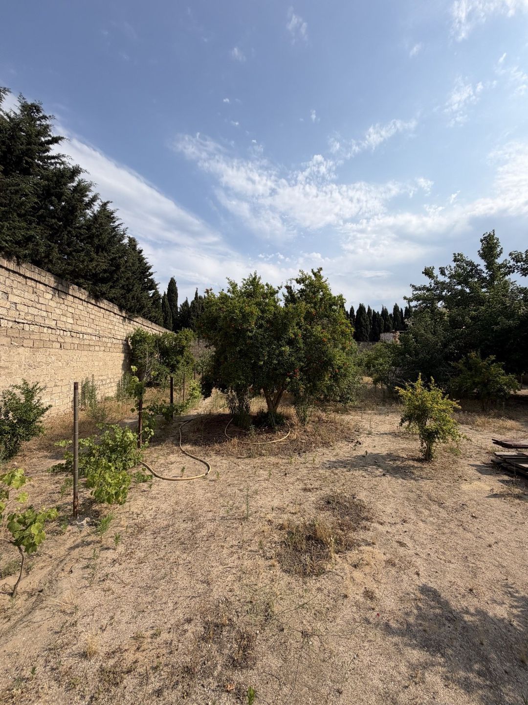Satılır torpaq 17.5 sot — Torpaq, Bakı (11)