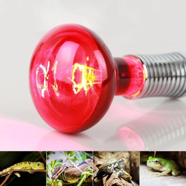 Qızdırıcı infraqırmızı lampa — İşıqlandırma, Bakı (2)