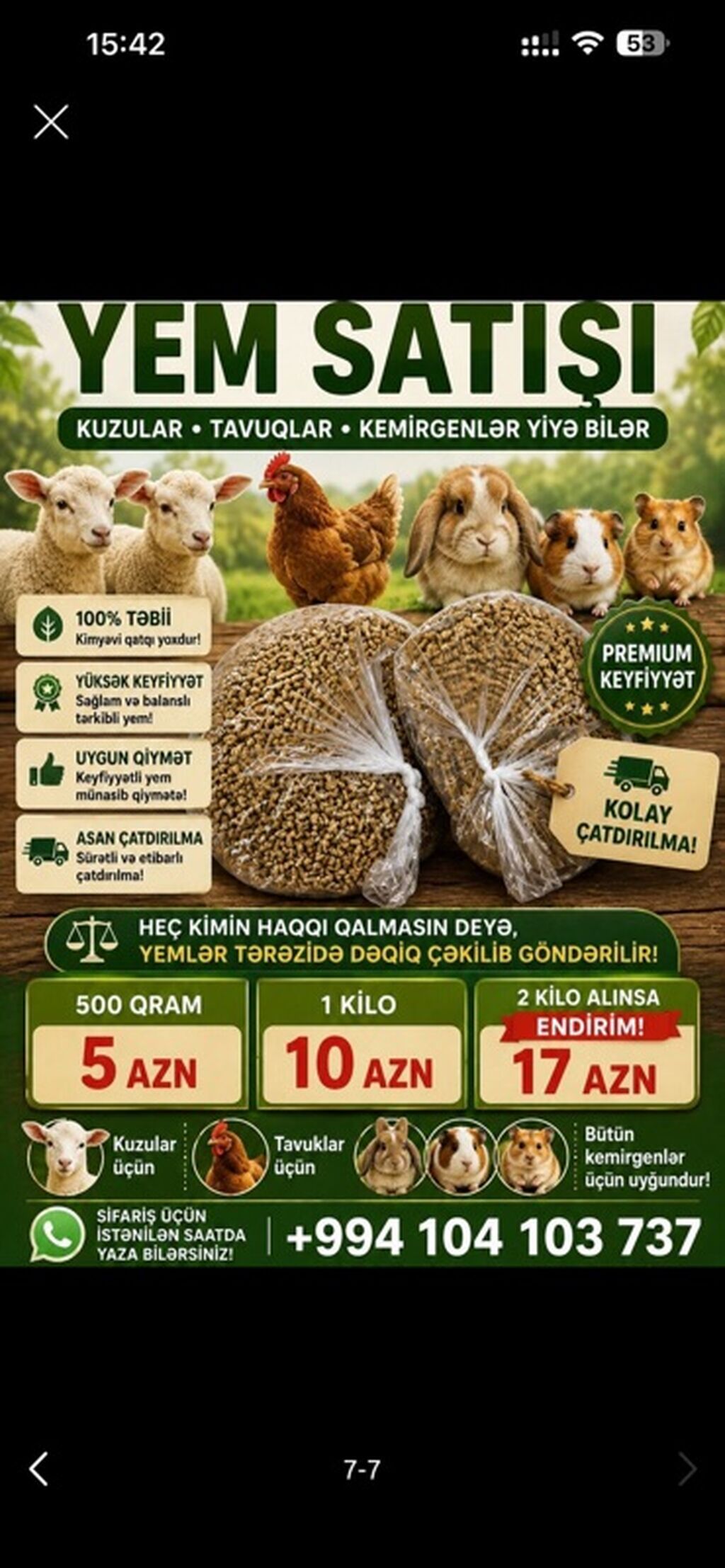1 aylıq balaca Hazırda məndə bu çox şirin dovşanım var Çox şirin — Dovşanlar, Digah (7)