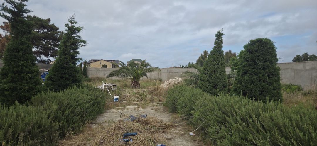 Satılır torpaq 12 sot — Torpaq, Bakı (3)