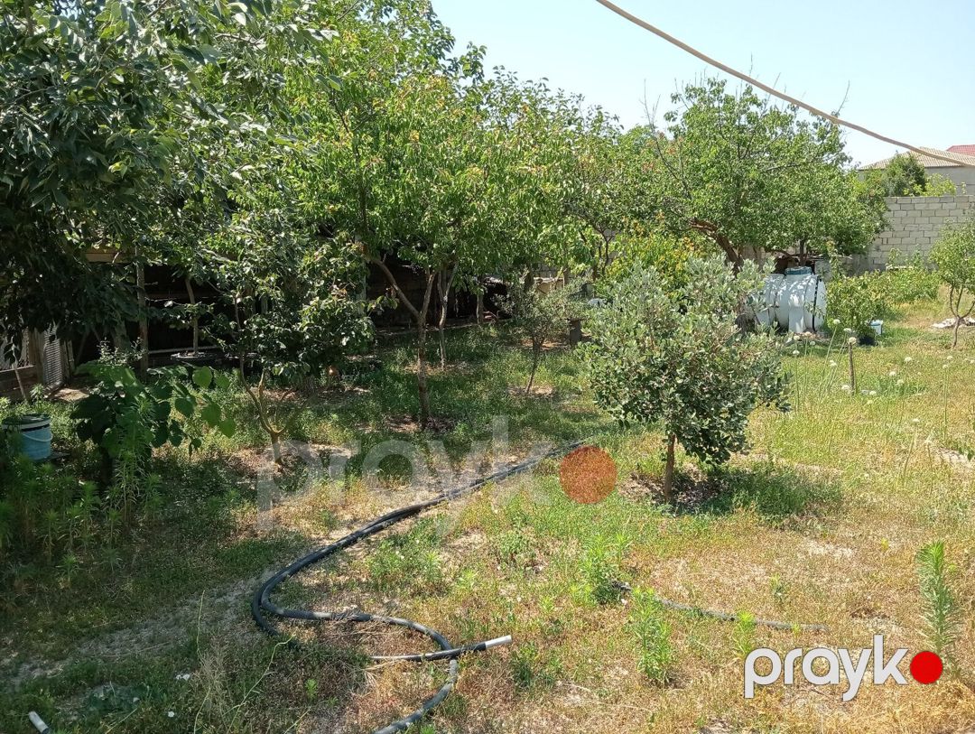 5.5 sot torpaq sahəsi, Novxanı qəs — Torpaq, Bakı (9)