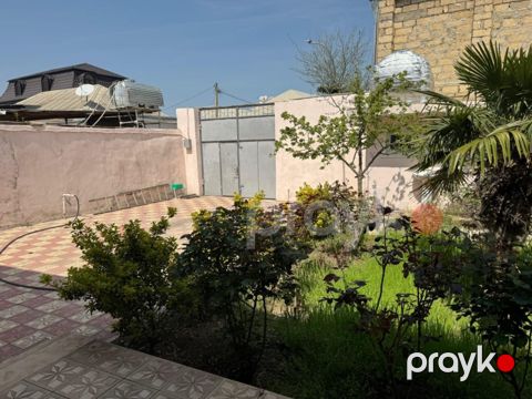 Həyət evi kirayə verilir, Gəncə ş