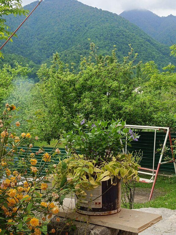 Villa kirayə verilir, Qəbələ ş — Ev, villa, Qəbələ (12)