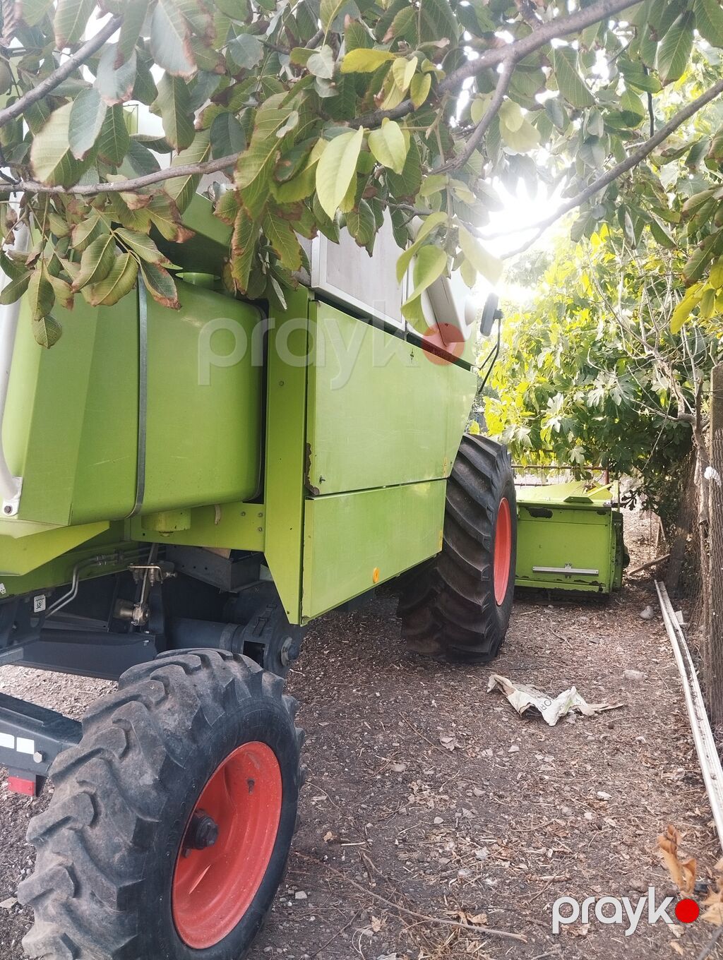 Claas Dominator 130 biçin kombaynı - Marka/model: Claas Dominator 130 — Kombaynlar, Cəlilabad (3)