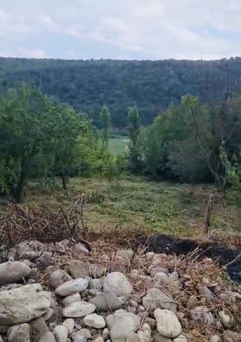 10 sot torpaq sahəsi, Qusar r — Qusar