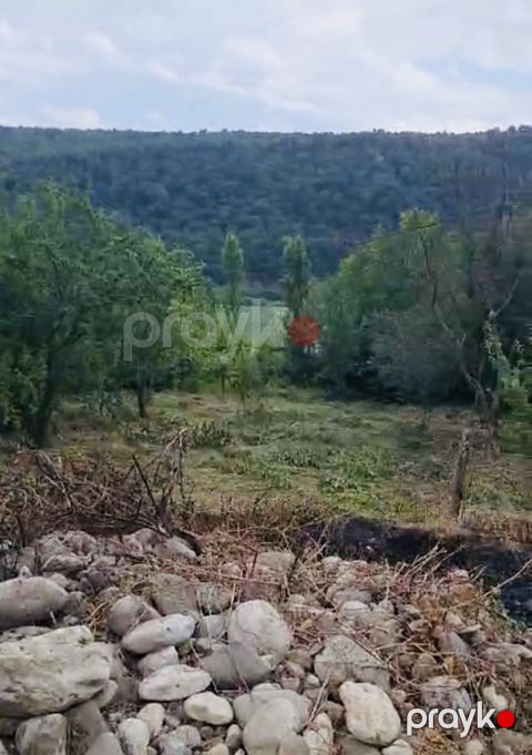 10 sot torpaq sahəsi, Qusar r — Qusar