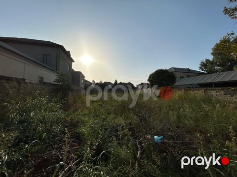 6 sot, Tikinti, Maklerlər narahat etməsin, Kupça (Çıxarış)