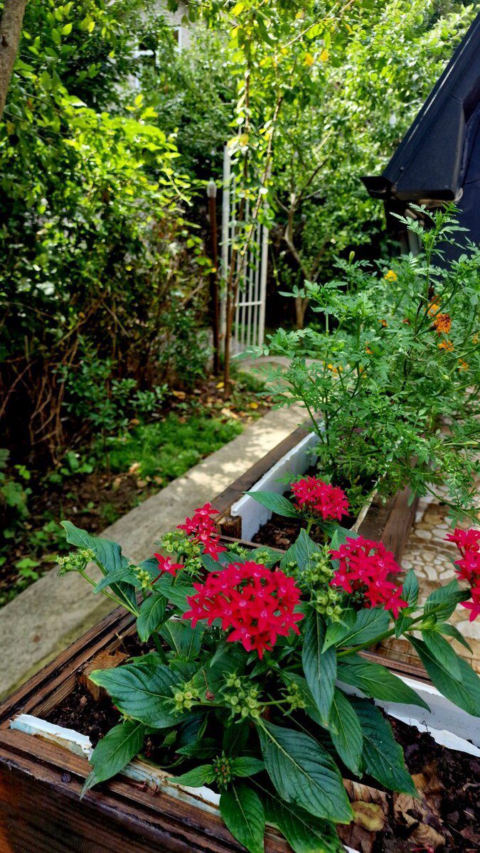 Bağ evi kirayə verilir, Qusar r — Ev, villa, Qusar (8)