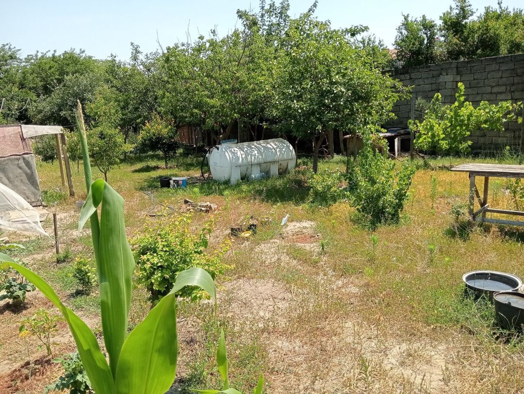 5.5 sot torpaq sahəsi, Novxanı qəs — Torpaq, Bakı (6)