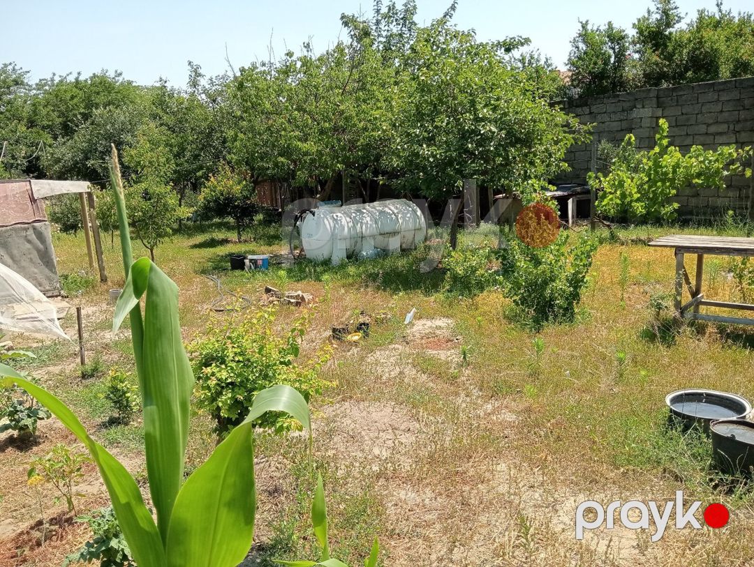 5.5 sot torpaq sahəsi, Novxanı qəs — Torpaq, Bakı (6)