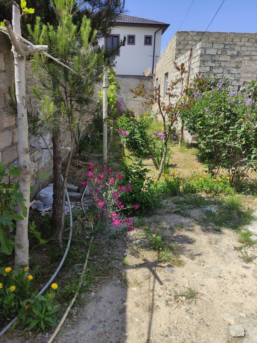 9 sot torpaq sahəsi, Mərdəkan qəs — Torpaq, Bakı (9)