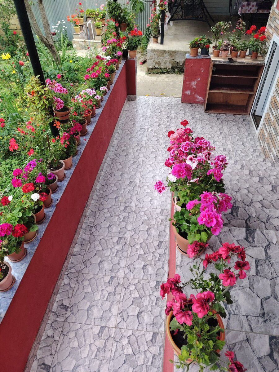 Bağ evi kirayə verilir, Qəbələ r — Ev, villa, Qəbələ (5)