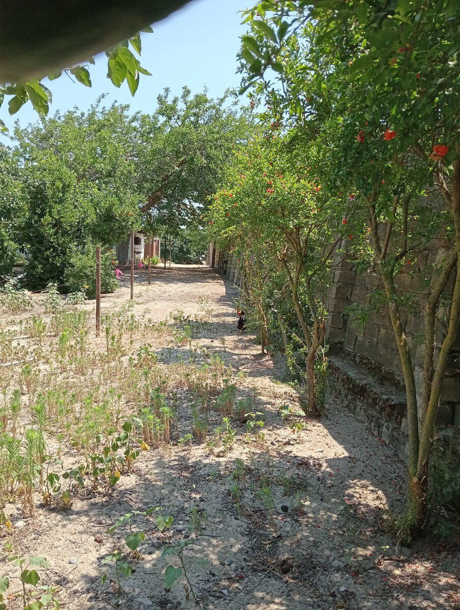 5.5 sot torpaq sahəsi, Novxanı qəs — Torpaq, Bakı (11)