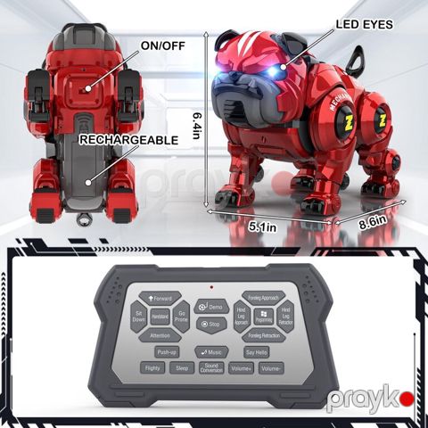 Pult ilə idarə olunan robot it — Bakı