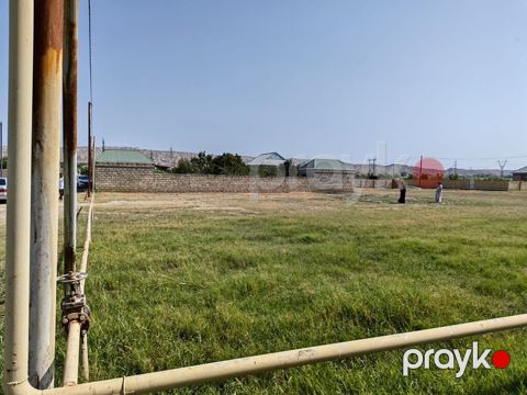 5 sot, Tikinti, Maklerlər narahat etməsin, Kupça (Çıxarış)