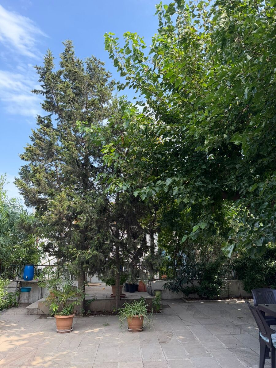 Satılır 3 otaqlı həyət evi/bağ evi 54 m² — Ev, villa, Bakı (4)