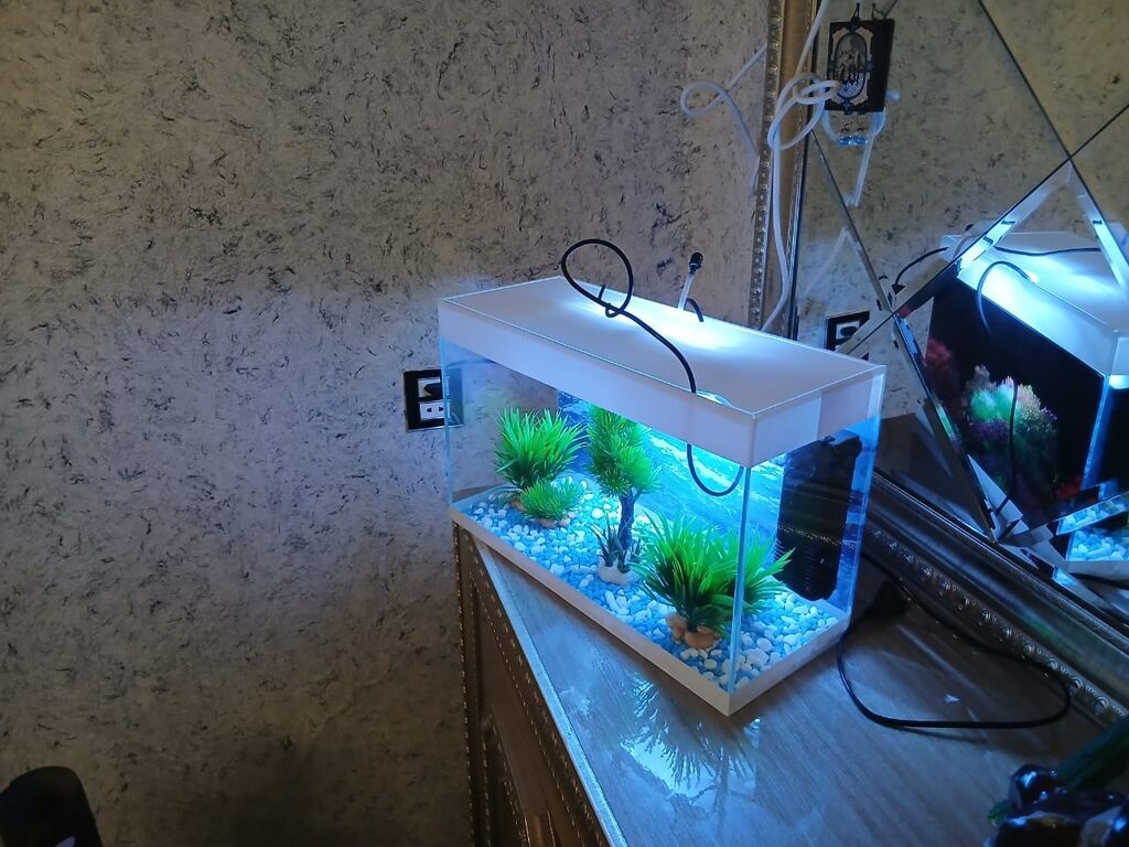 Dördbucaq akvarium, Boş, 10 l, Ödənişli çatdırılma — Akvariumlar və balıqlar, Qax (2)