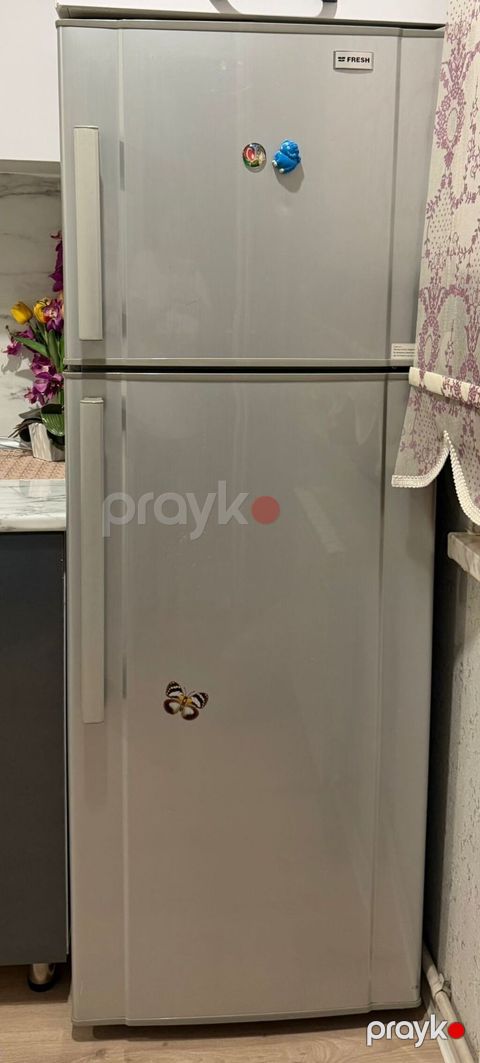 Tecılı fresh Nofros soyuducu evden satiw Qıymet 350 AZN. Ölçü hund — Bakı