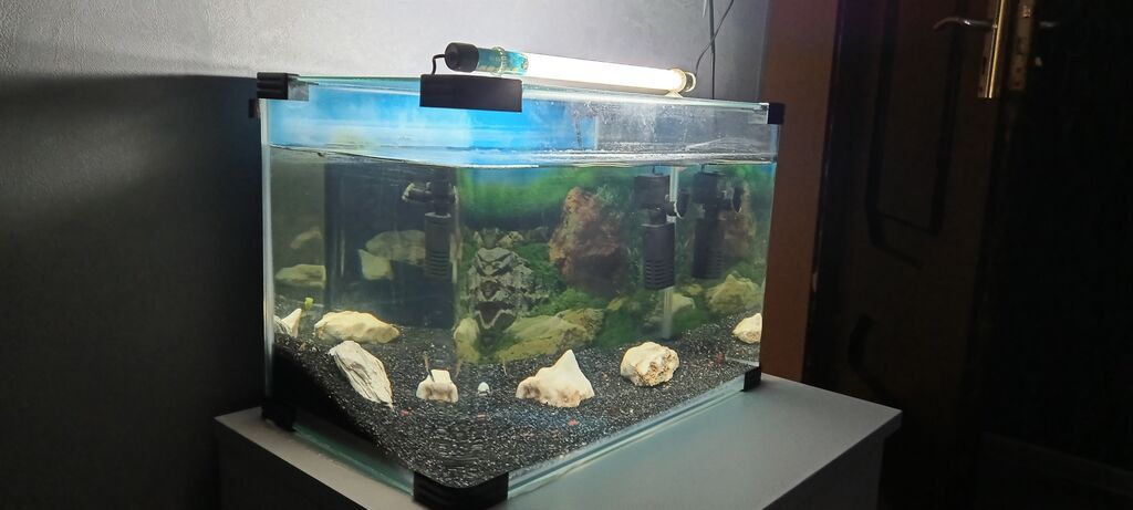 Dördbucaq akvarium, Boş, 33 l, Ünvandan götürmə — Akvariumlar və balıqlar, Bakı (2)